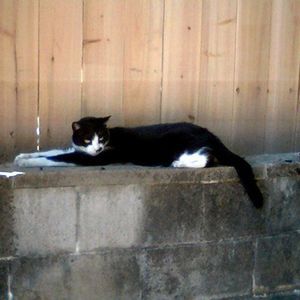 Meet your Posher, Michele